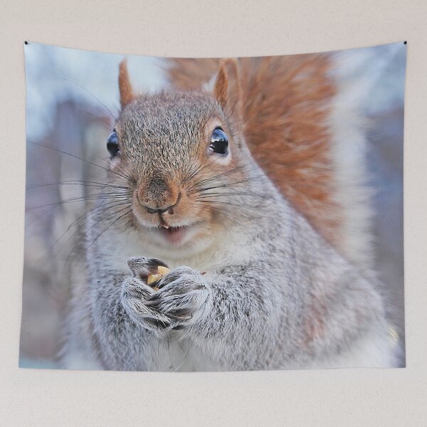 Item preview, Squirrel Buddy designed and sold by Autumn Seas Photography.