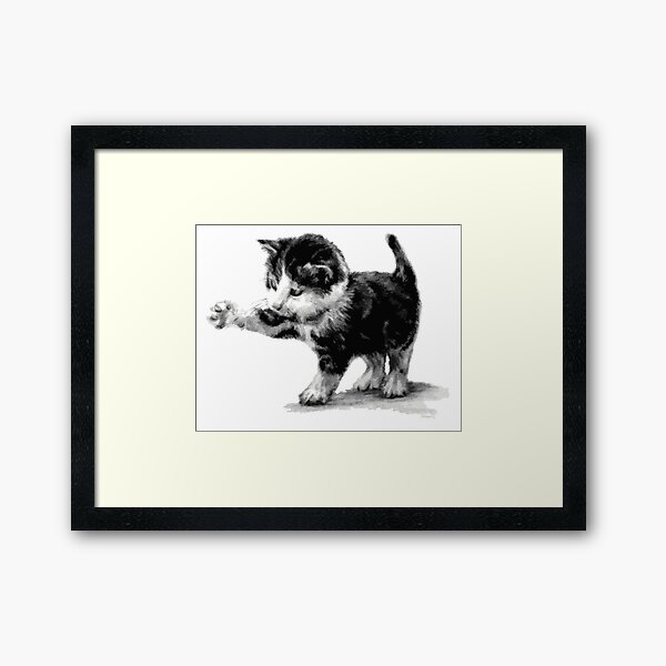 Kitten Cat Black and White Framed Art Print
