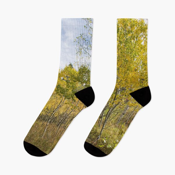 Item preview, Nature photography in the fall season designed and sold by Ventures1.