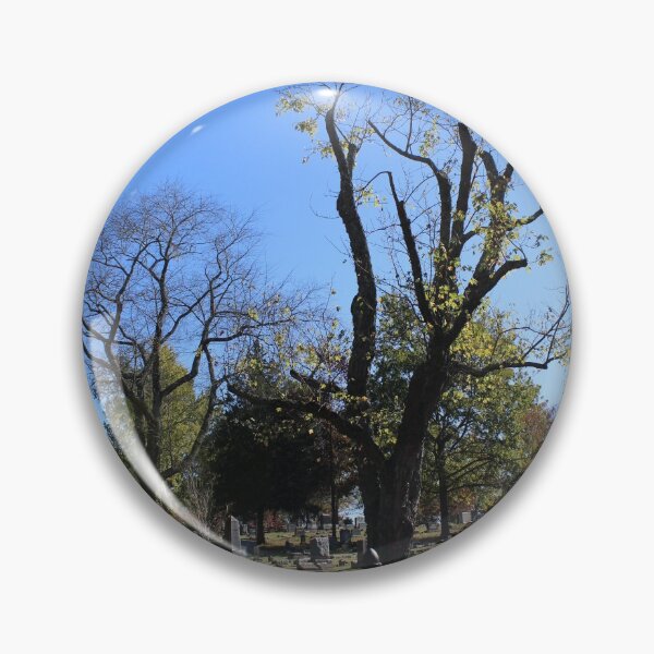 Item preview, Gnarly Autumn Trees in Huntsville Cemetery (Unedited) designed and sold by Silver Sky by Janet.