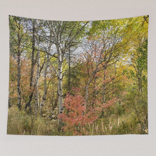 Item preview, Nature photography in the fall season designed and sold by Ventures1.