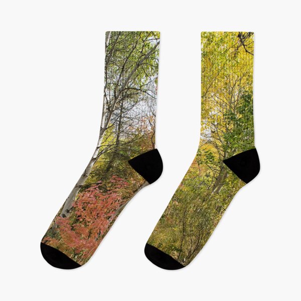 Item preview, Nature photography in the fall season designed and sold by Ventures1.