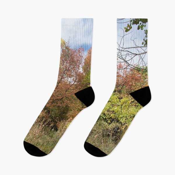 Item preview, Nature photography in the fall season designed and sold by Ventures1.
