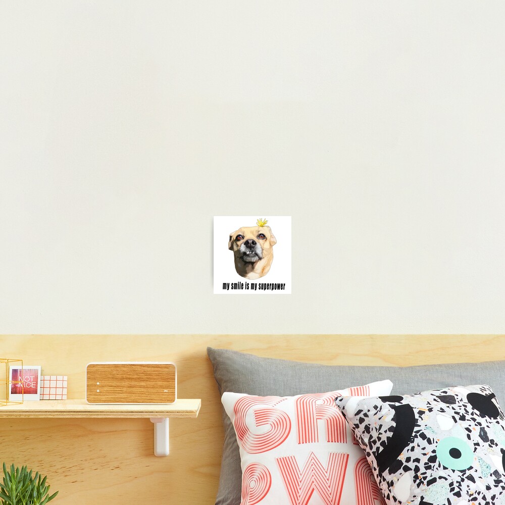 My Smile is My Superpower - Chihuahua Dog with Flower Photographic Print