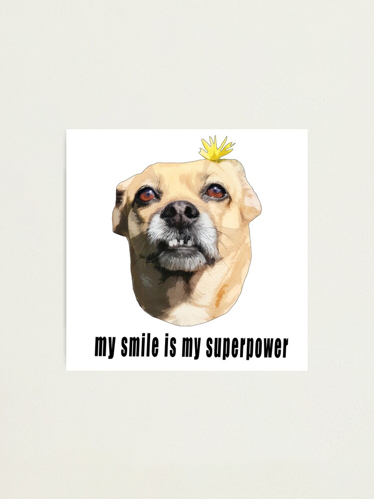 Alternate view of My Smile is My Superpower - Chihuahua Dog with Flower Photographic Print