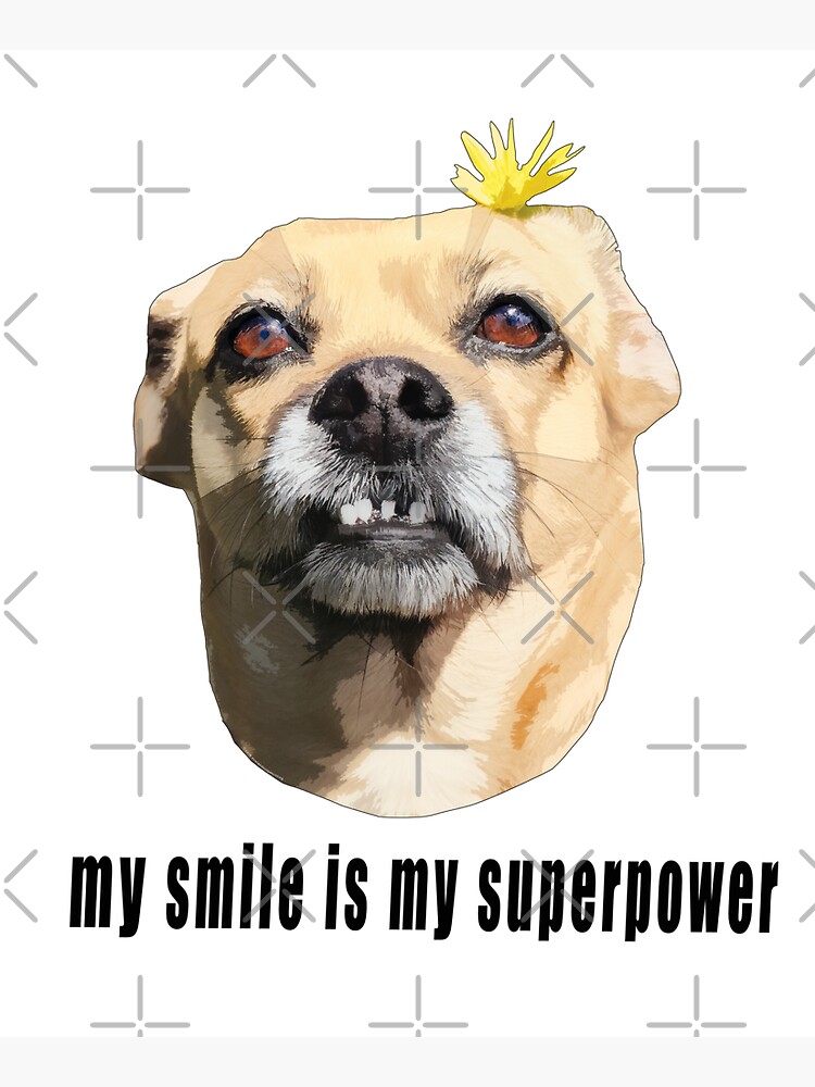 My Smile is My Superpower - Chihuahua Dog with Flower by OverandOutOXOX