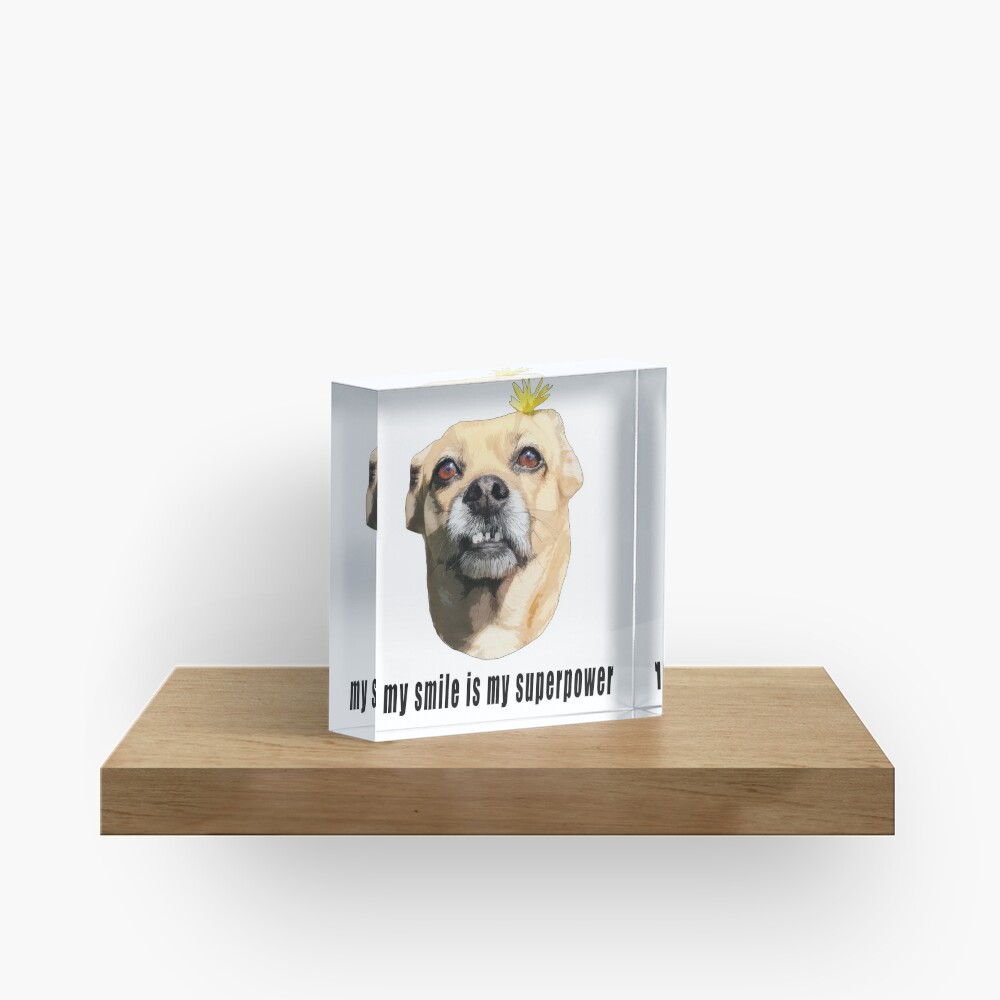 My Smile is My Superpower - Chihuahua Dog with Flower Acrylic Block