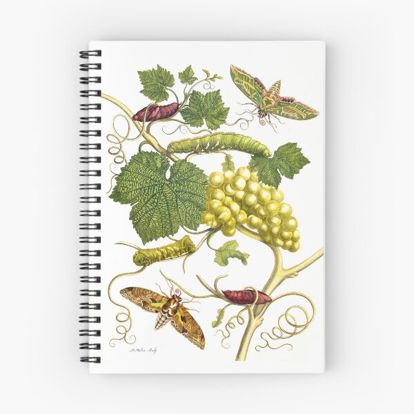 Item preview, Wine, grapevine, with enthusiasts - Maria Sibylla Merian designed and sold by 1001karte.