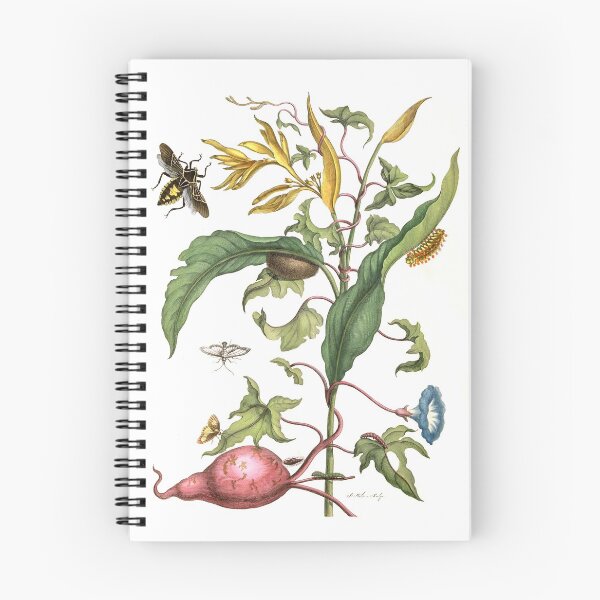 Item preview, Batata con insectos - Maria Sibylla Merian designed and sold by 1001karte.