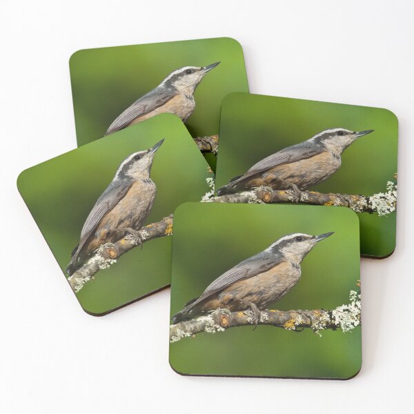Item preview, Red Breasted Nuthatch in a Tree designed and sold by Jeff Goulden Photography.