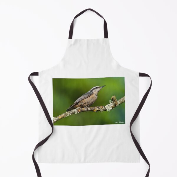 Item preview, Red Breasted Nuthatch in a Tree designed and sold by Jeff Goulden Photography.