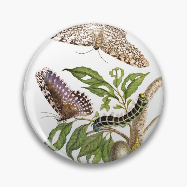 Artikelvorschau, Schmetterlinge an Futterpflanze – Maria Sibylla Merian entworfen und verkauft von 1001karte.