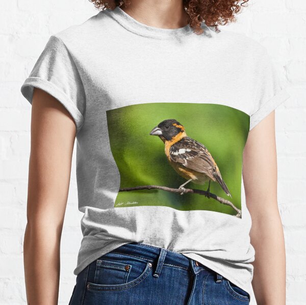 Male Black Headed Grosbeak in a Tree Classic T-Shirt