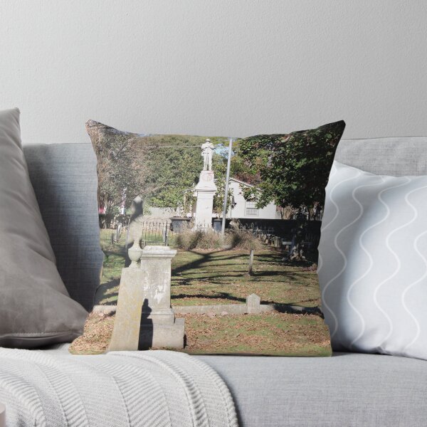 Item preview, More Appropriate Setting for a Monument to Racist Traitors (Unedited) designed and sold by Silver Sky by Janet.