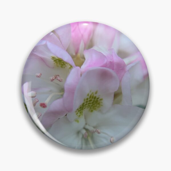 Item preview, Mountain Laurel bloom designed and sold by Heather Neilson.