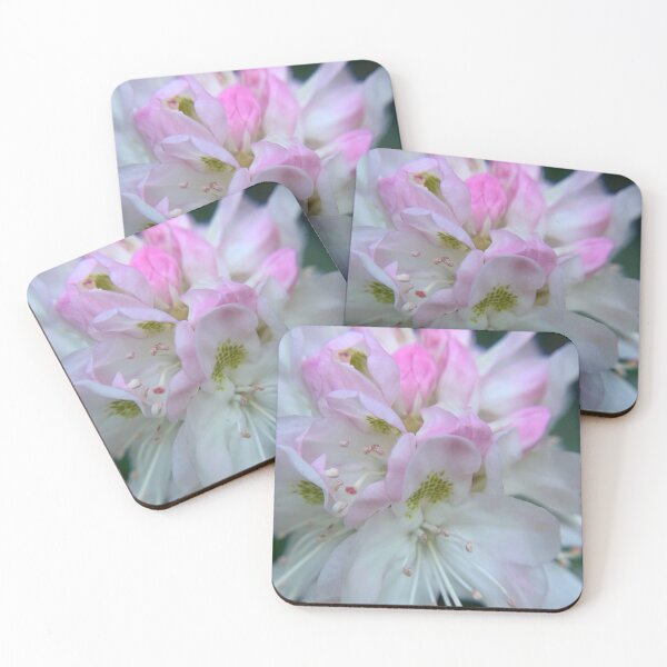 Item preview, Mountain Laurel bloom designed and sold by Heather Neilson.