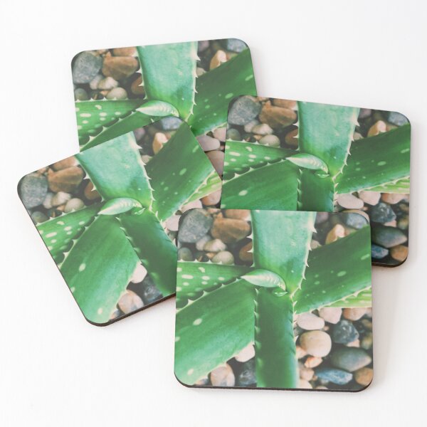 Item preview, Aloe There designed and sold by grdnstplantmom.