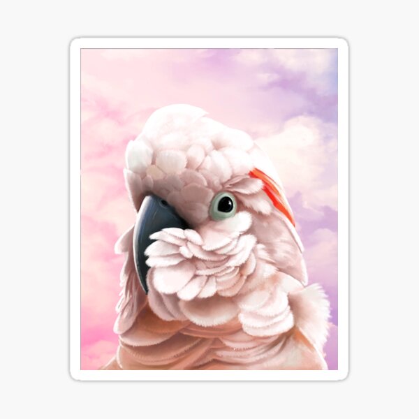 Item preview, Moluccan Cockatoo designed and sold by KCGillies.