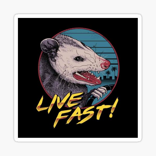 Live Fast! Sticker