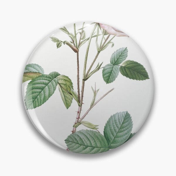 Item preview, Les Roses by Pierre-Joseph Redouté designed and sold by EsotericBotanic.