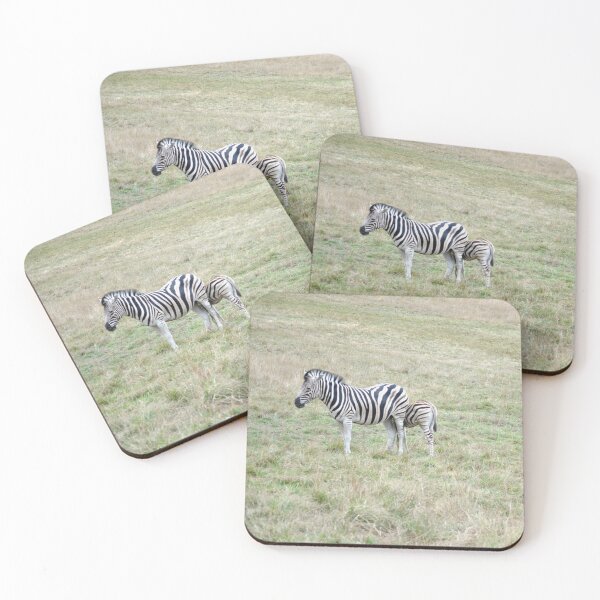 Item preview, Zebras designed and sold by Tamara McDonnell.