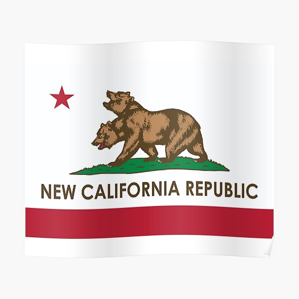 Ncr Flag Posters Redbubble