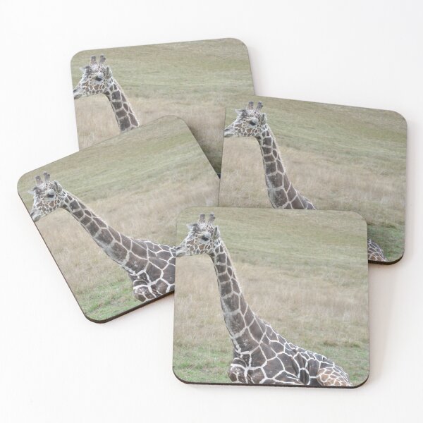 Item preview, Young Giraffe designed and sold by Tamara McDonnell.