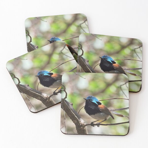 Item preview, Beautiful male Red-winged fairywren closeup designed and sold by hendrikspix.