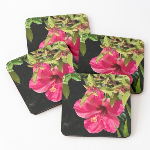 Item preview, A photograph of a pink hibiscus flower designed and sold by SimplyAdrienne.