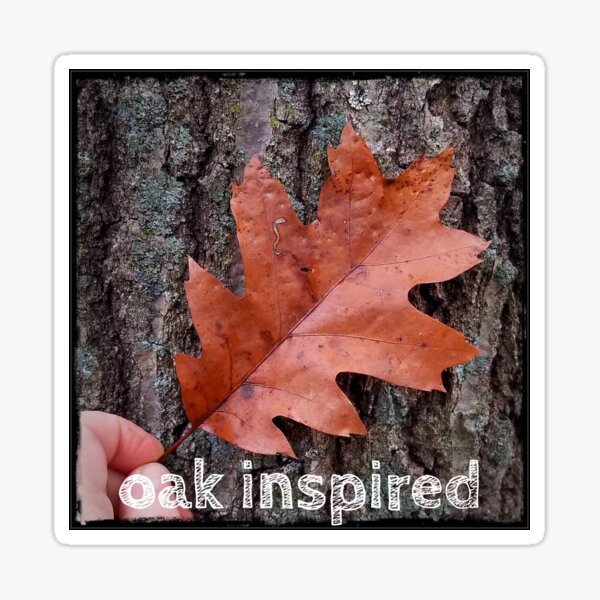 oak inspired red oak leaf and bark Sticker