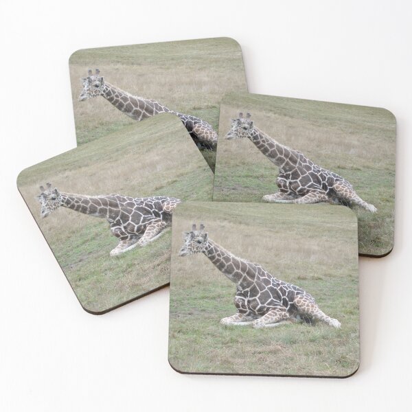 Item preview, Friendships designed and sold by Tamara McDonnell.
