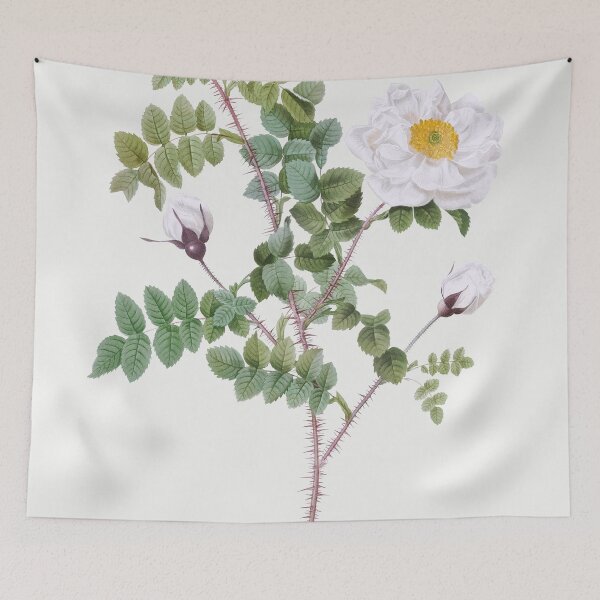 Item preview, Les Roses by Pierre-Joseph Redouté designed and sold by EsotericBotanic.
