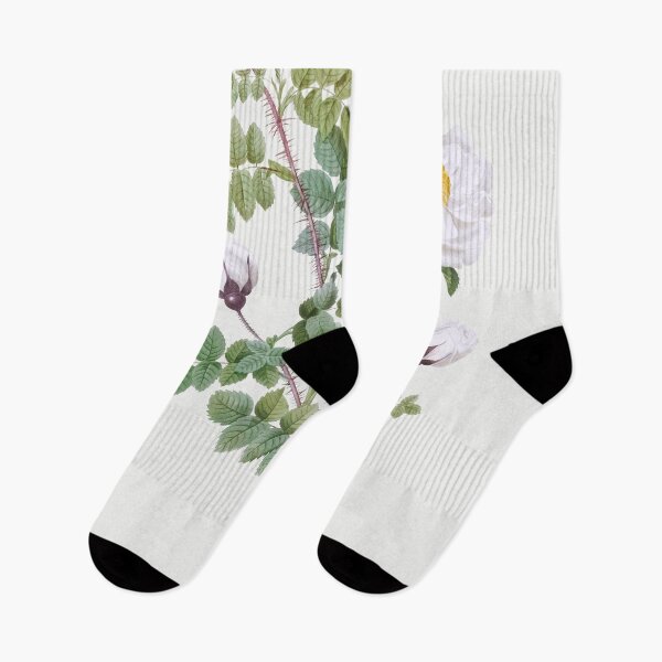 Item preview, Les Roses by Pierre-Joseph Redouté designed and sold by EsotericBotanic.