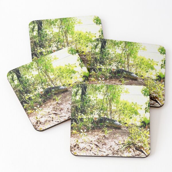Item preview, Watch Out for the Alligator in Florida Wildlife Photograph designed and sold by DiscGolfTees.