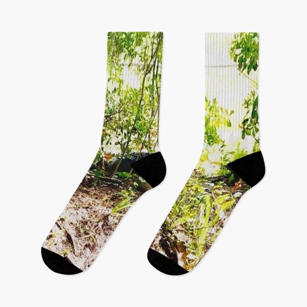 Item preview, Watch Out for the Alligator in Florida Wildlife Photograph designed and sold by DiscGolfTees.