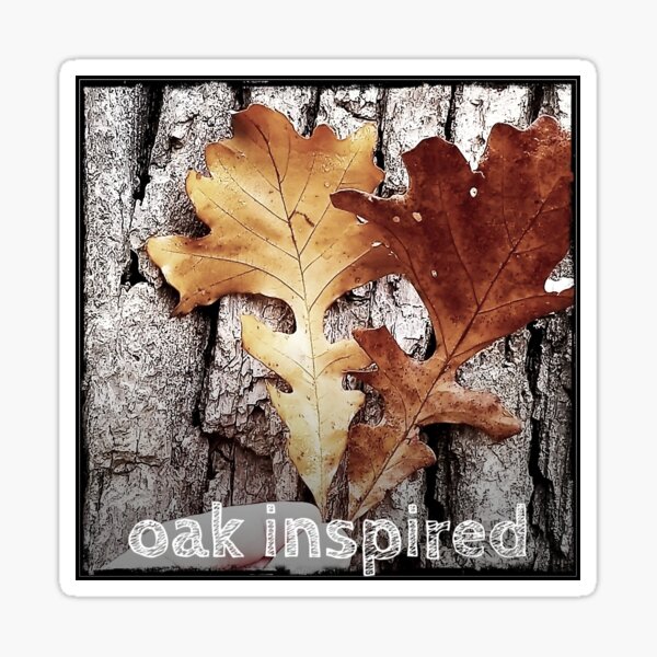 oak inspired bur oak leaf and bark Sticker