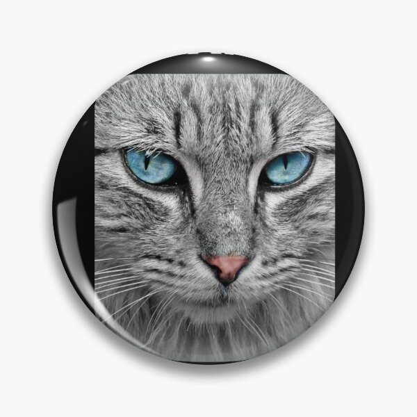 Item preview, Cat themed - If you kick me when I am down, you better pray that I do not get up designed and sold by mprakash100.