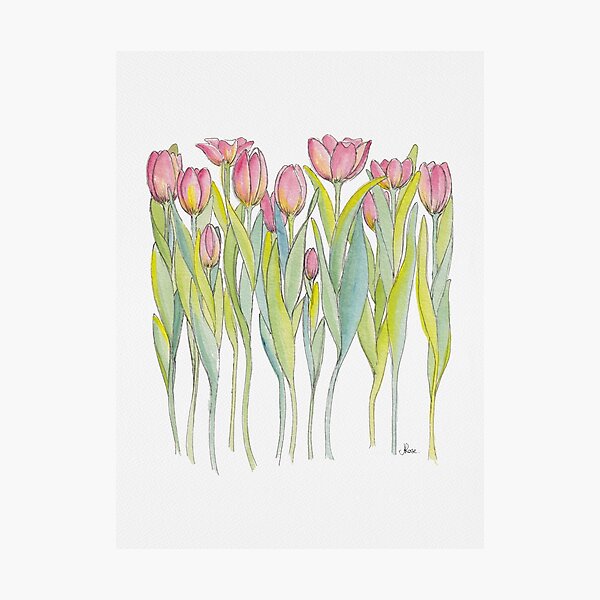 Item preview, Pink Tulips Illustration designed and sold by JRoseDesign.