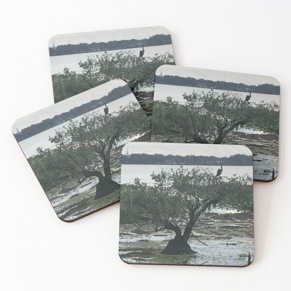 Item preview, Large looking Bonsai Tree in Lake Hollingsworth Lakeland Florida Gray designed and sold by DiscGolfTees.