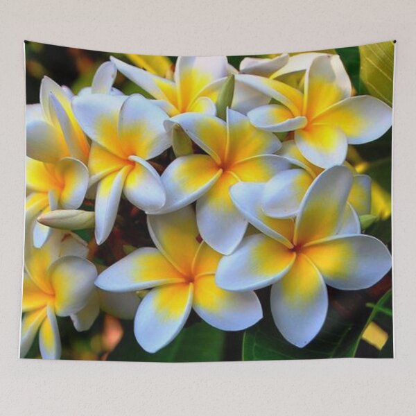 Item preview, Fragipani designed and sold by Alafina2019.