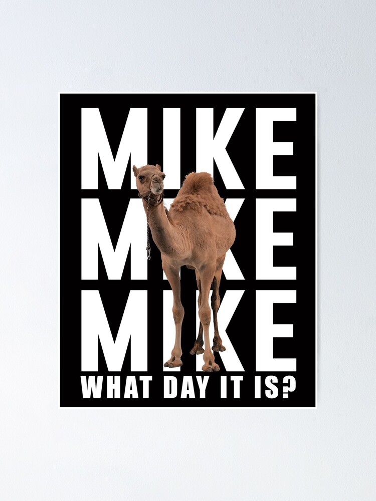 geico camel hump day mike mike mike