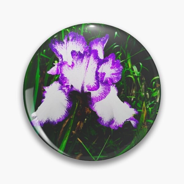 Item preview, Tender white and violet iris, natural background  designed and sold by helenkaiy.