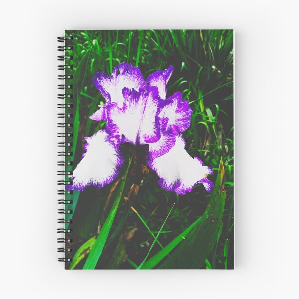 Item preview, Tender white and violet iris, natural background  designed and sold by helenkaiy.