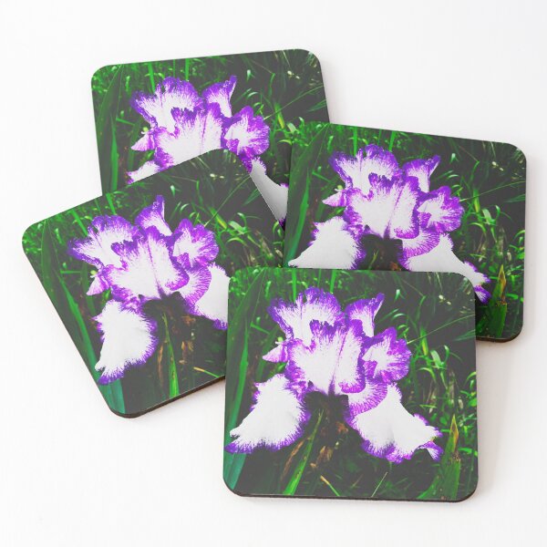 Item preview, Tender white and violet iris, natural background  designed and sold by helenkaiy.
