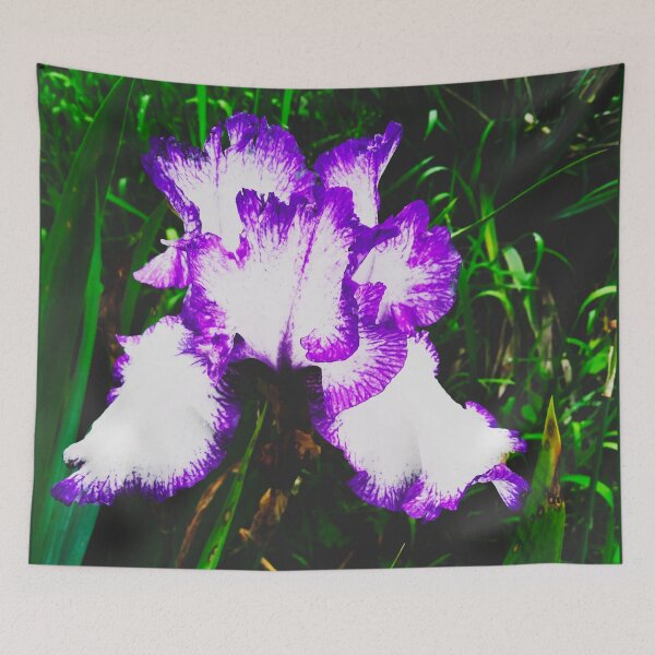 Item preview, Tender white and violet iris, natural background  designed and sold by helenkaiy.
