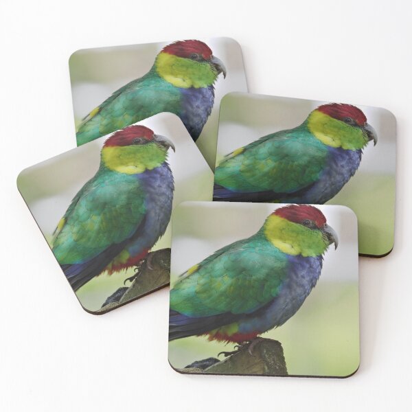 Item preview, Majestic Red Capped Parrot photo designed and sold by hendrikspix.