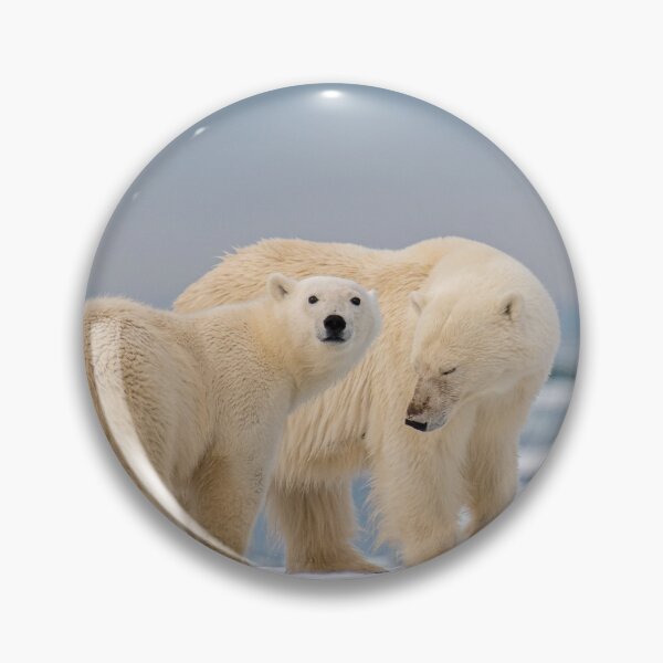 Aperçu de l'œuvre Ours polaires sur Snowscape créée et vendue par PurpleTank.