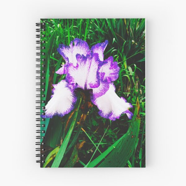 Item preview, Tender white and violet iris, natural background  designed and sold by helenkaiy.