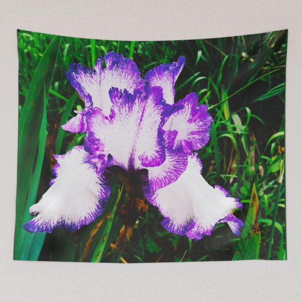 Item preview, Tender white and violet iris, natural background  designed and sold by helenkaiy.