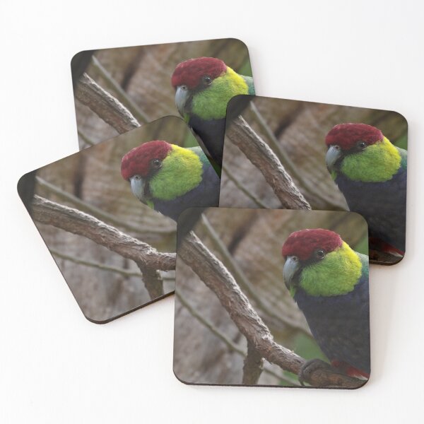 Item preview, Curious red capped parrot photo in a tree  designed and sold by hendrikspix.